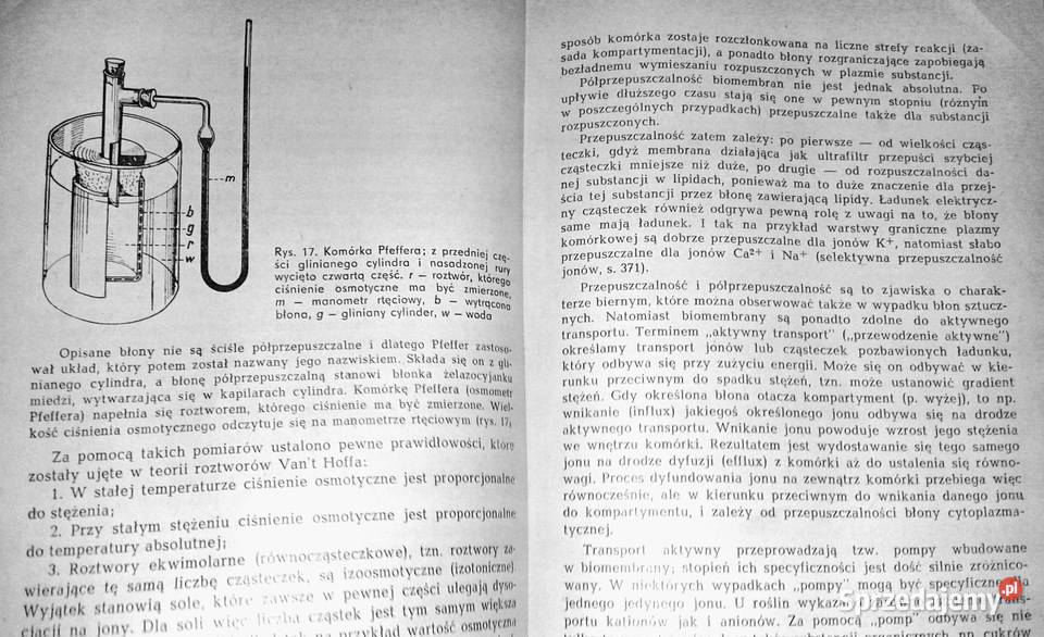 Botanika ogólna Wilhelm Nultsch Chełm