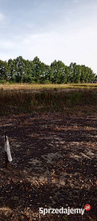 Działka 2400m2 Guzowatka