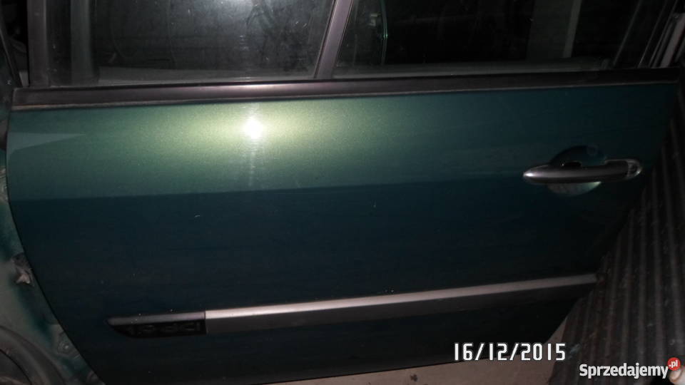 Drzwi lewe przód Renault Scenic II Karoseria Maruszyna
