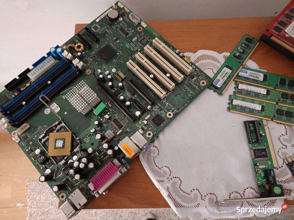 Sprzedam lubuskie Dąbie