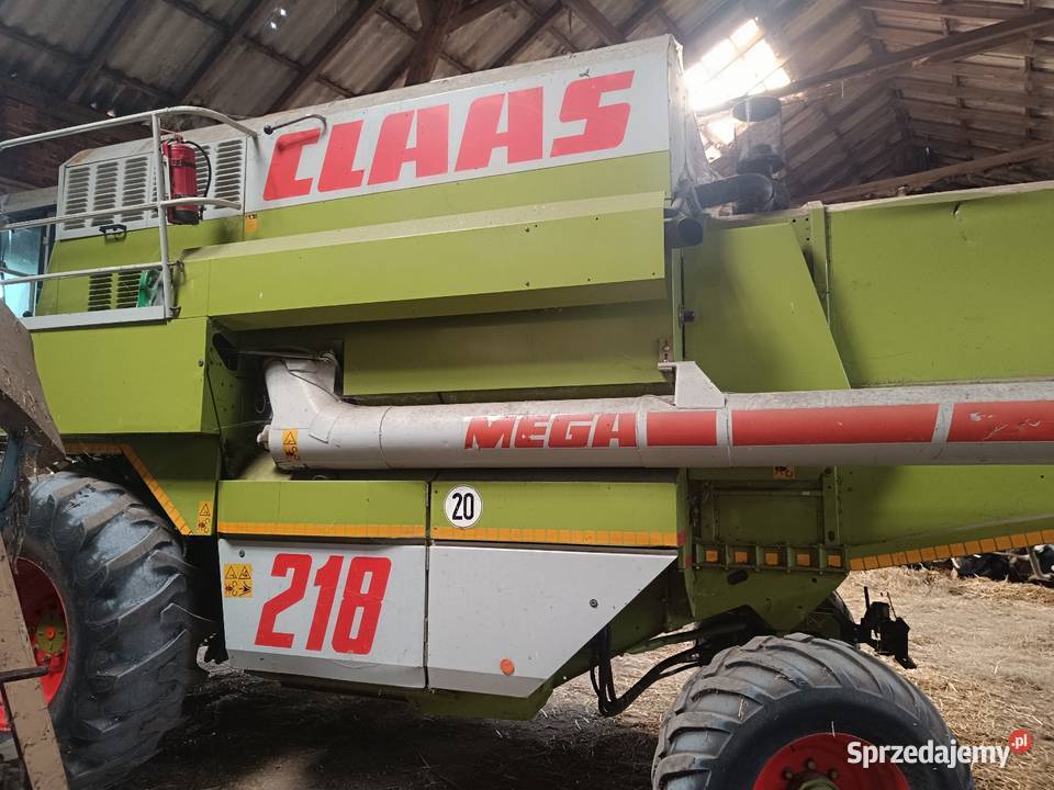 Sprzedam Jastrzębniki