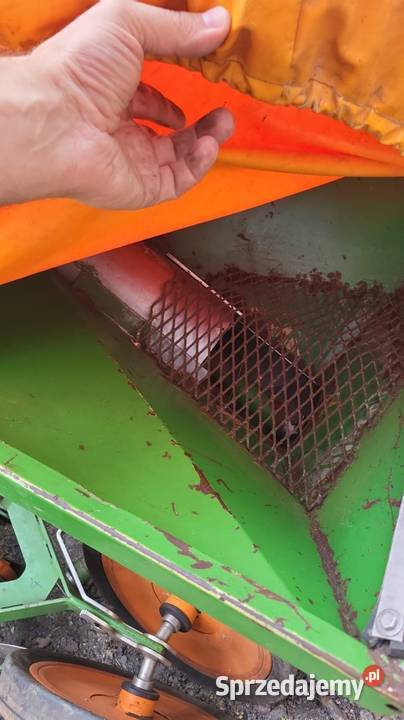 Siewnik kukurydzy Amazone ED 602K talerzowy 8 Amazone podlaskie sprzedam