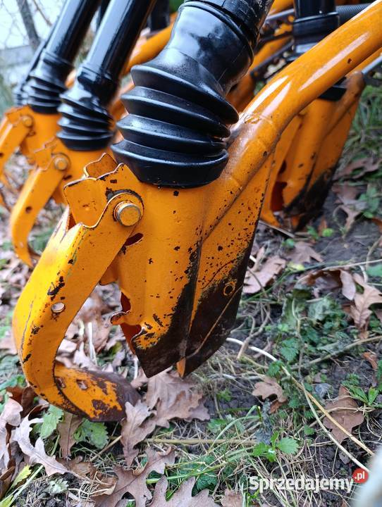 Siewnik zbożowy amazone hassia Borki