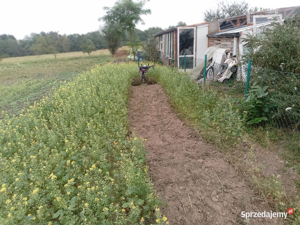 Usługi Ogrodnicze Wieszowa