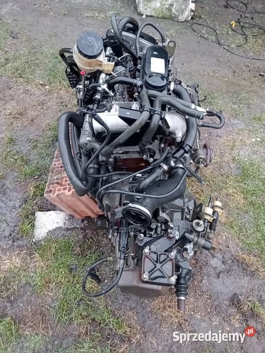 silnik iveco daily fiat ducato 23 jtd 05 r zachodniopomorskie Pyrzyce sprzedam