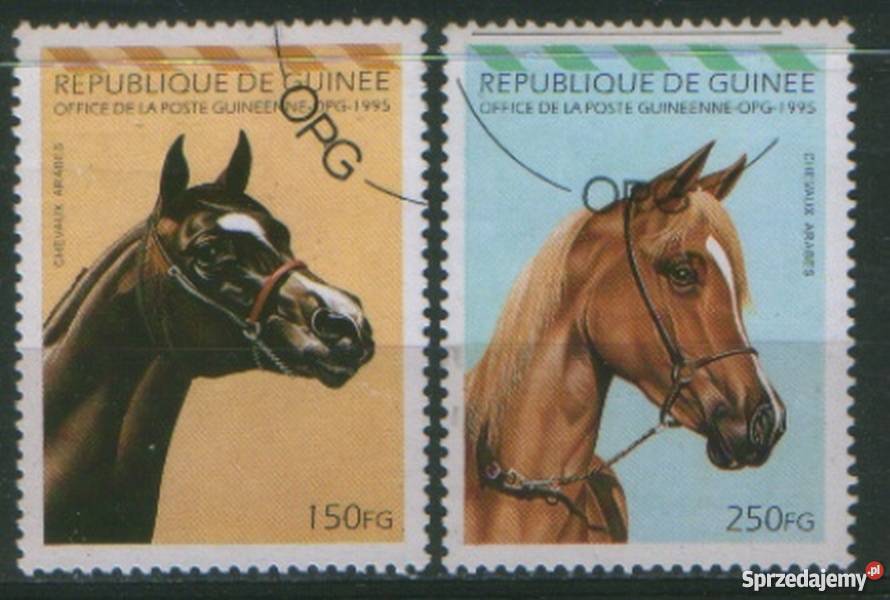 ZnR Guinea Mi 1562 3 kas 1995 śląskie Gliwice