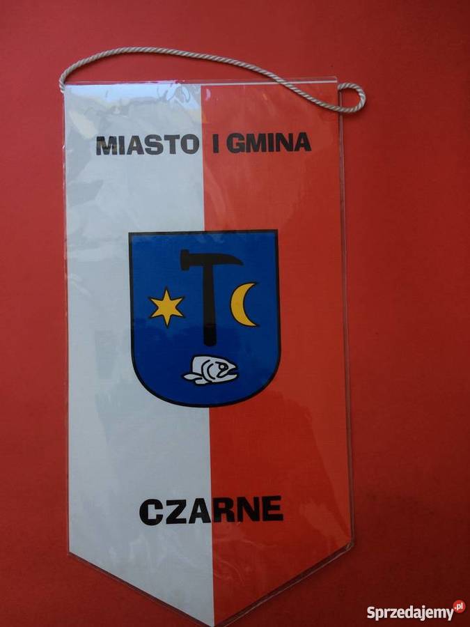 273 Proporczyk klubu Szczecin sprzedam