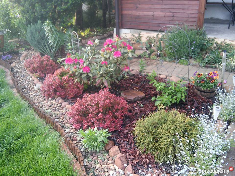 działka ROD Rubinkowo Niesiołowskiego utwardzona Toruń sprzedam