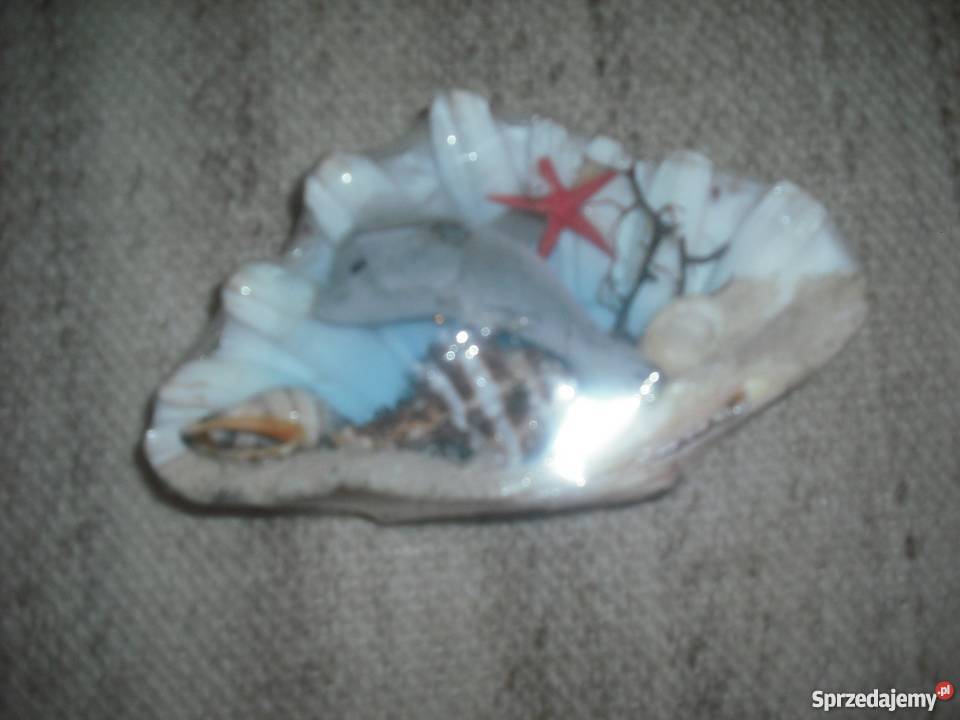 MUSZLE z morza Śródziemnego Warszawa