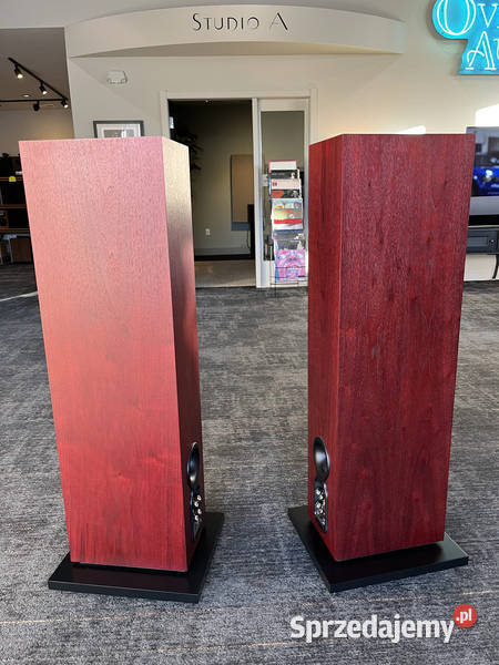 BW Bowers Wilkins 703 S2 in rosenut Słuchawki i głośniki pomorskie Pomieczyno