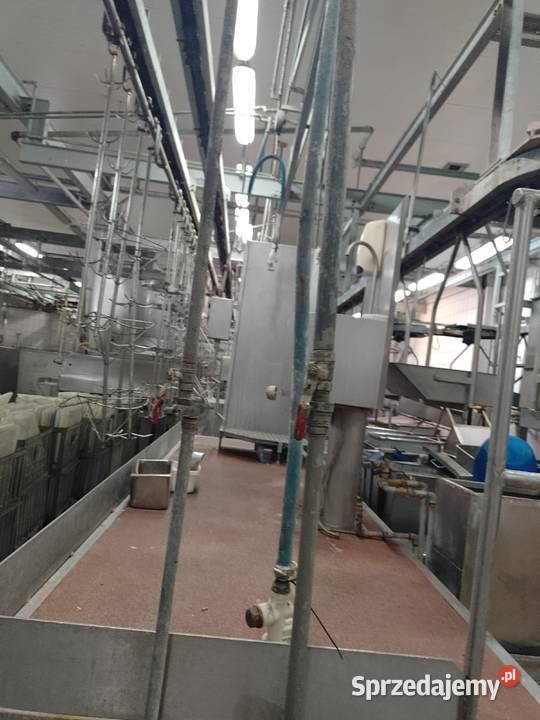 LINIA UBOJU TRZODY CHLEWNEJ Micigózd