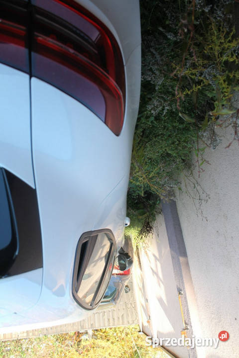 Renault Clio V 2019 wielkopolskie Ostrów Wielkopolski sprzedam