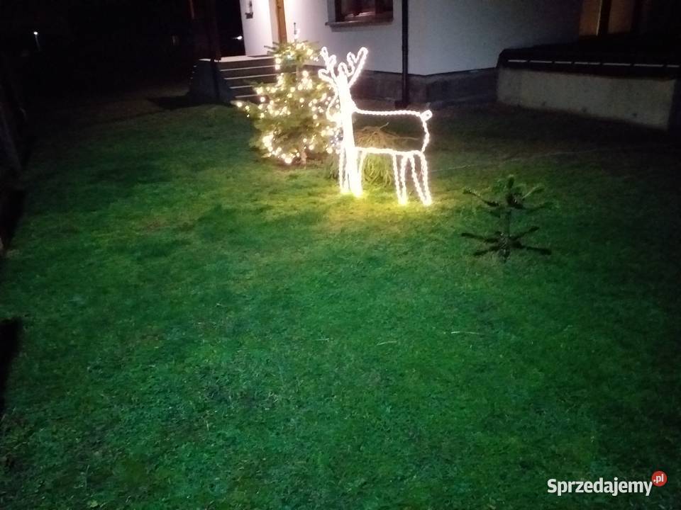 Konstrukcja świąteczna stelaż Renifer do łatwego Mrzezino sprzedam