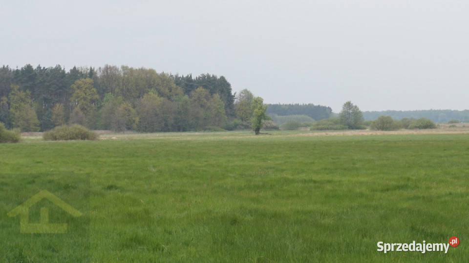 Nieruchomość w Całowaniu rolna mazowieckie Całowanie