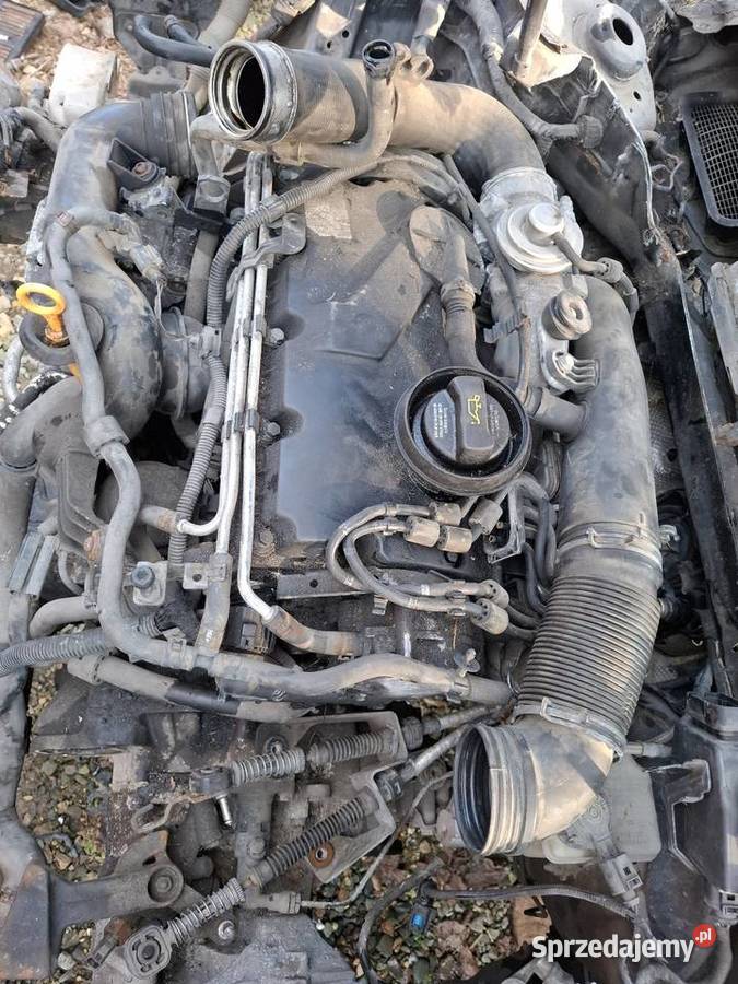 VW Golf V 5 19 tdi BKC 105 Audi A3 8P Seat Leon osobowe