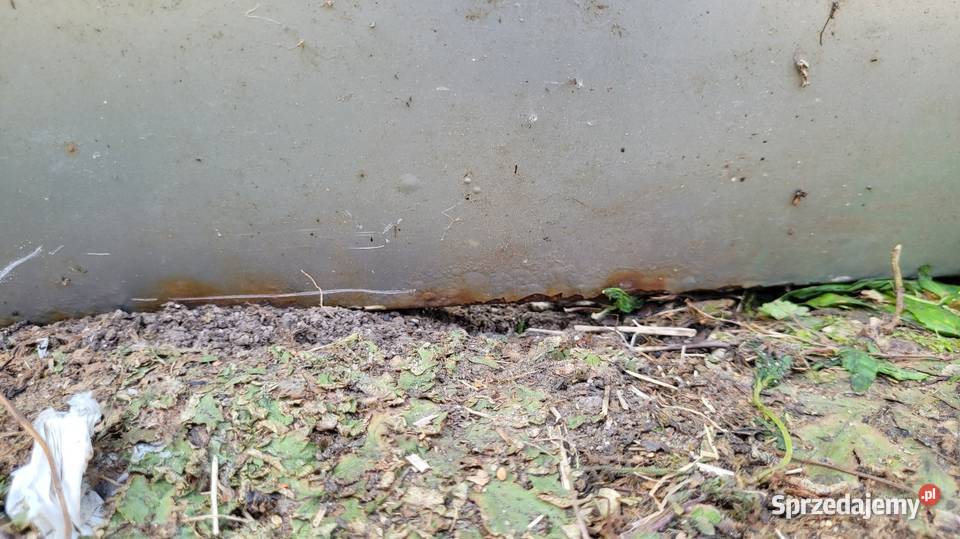 Drzwi Renault Kangoo I Łagów sprzedam