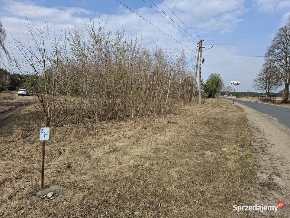 Syndyk sprzeda udział 112 Tyczyn Sieradzkie
