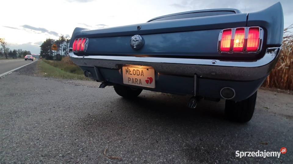 Ford Mustan 66 1966 Szczuczyn