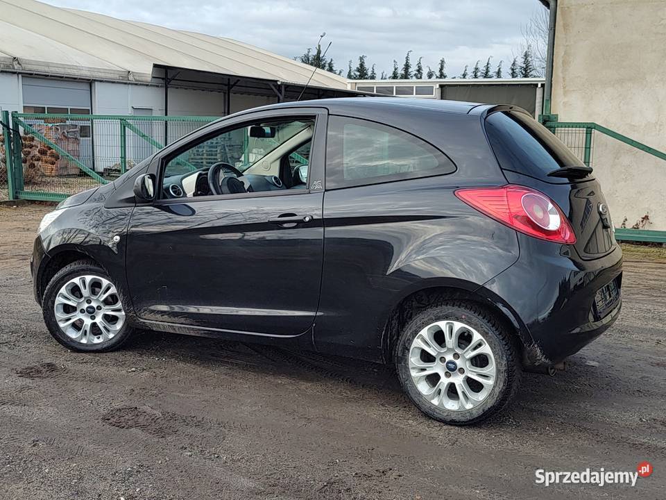FORD KA BENZYNA KLIMA Leszno sprzedam
