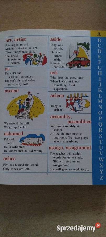 Wielki obrazkowy słownik chłopców i dzewczyn lubelskie Lublin sprzedam