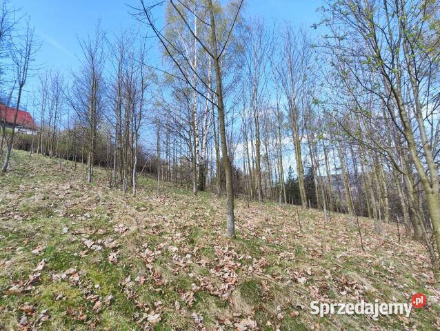 Sprzedaż działki Piechowice 1349m2