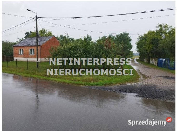 sprzedaży gruntu Tarłów 900m2