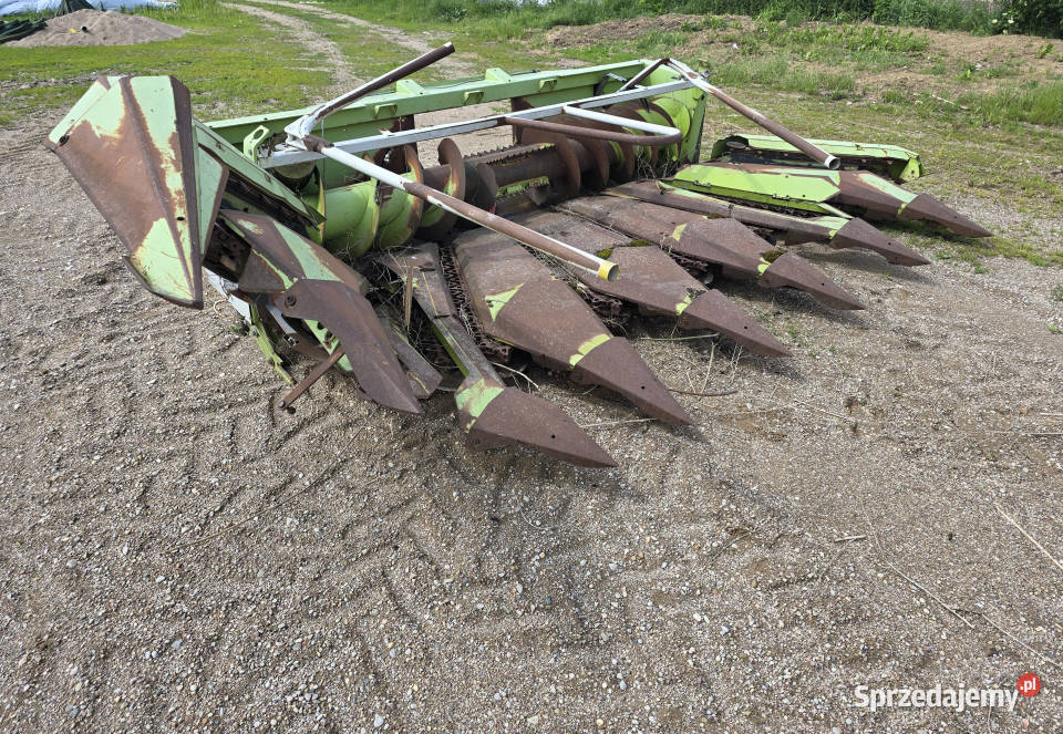 Heder do kukurydzy CLAAS MG86218 do sieczkarni Włosty