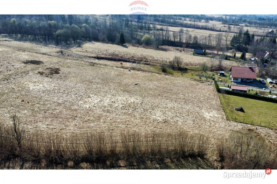 Malownicza działki 28 ar w Koconiu śląskie Kocoń