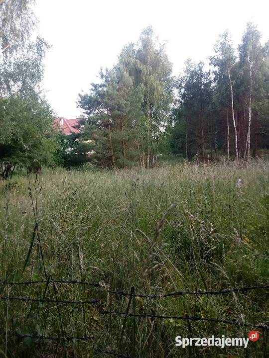 Sprzedam działę w Worytach na Warmii Woryty