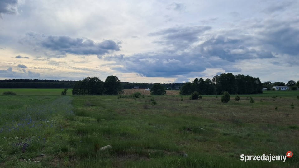Działka budowlana Dolnik 1074 m2 Wydane WZ budowlana wielkopolskie