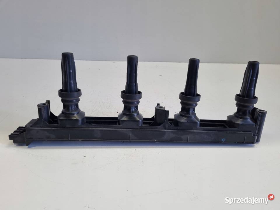 CEWKA ZAPŁONOWA Citroen C4 Picasso 18 16V osobowe Rudka