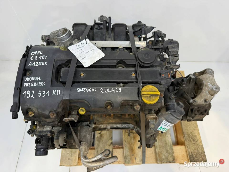SILNIK A12XER Opel Corsa D 12 16V 86 benzyna osobowe Silniki kompletne Chełm