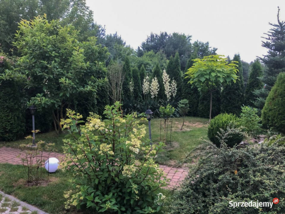 Do sprzedaży dom wolnostojący Ruszków 70m2 blacha Sprzedaż