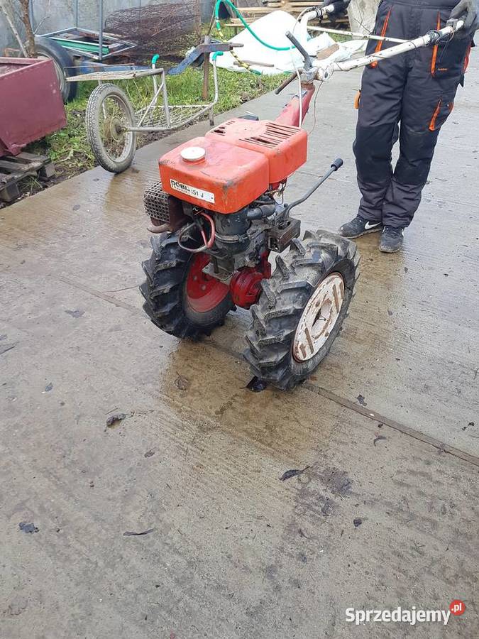 traktorek dzik robi nieuszkodzony