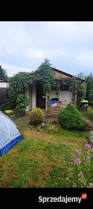 Sprzedam działkę Rod Aster szambo Katowice