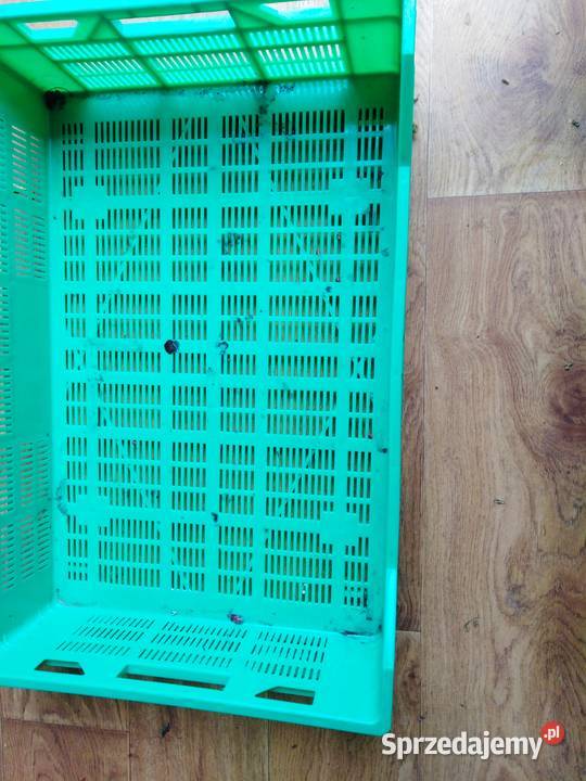 Sprzedam paczki klatki palstikowe na maliny