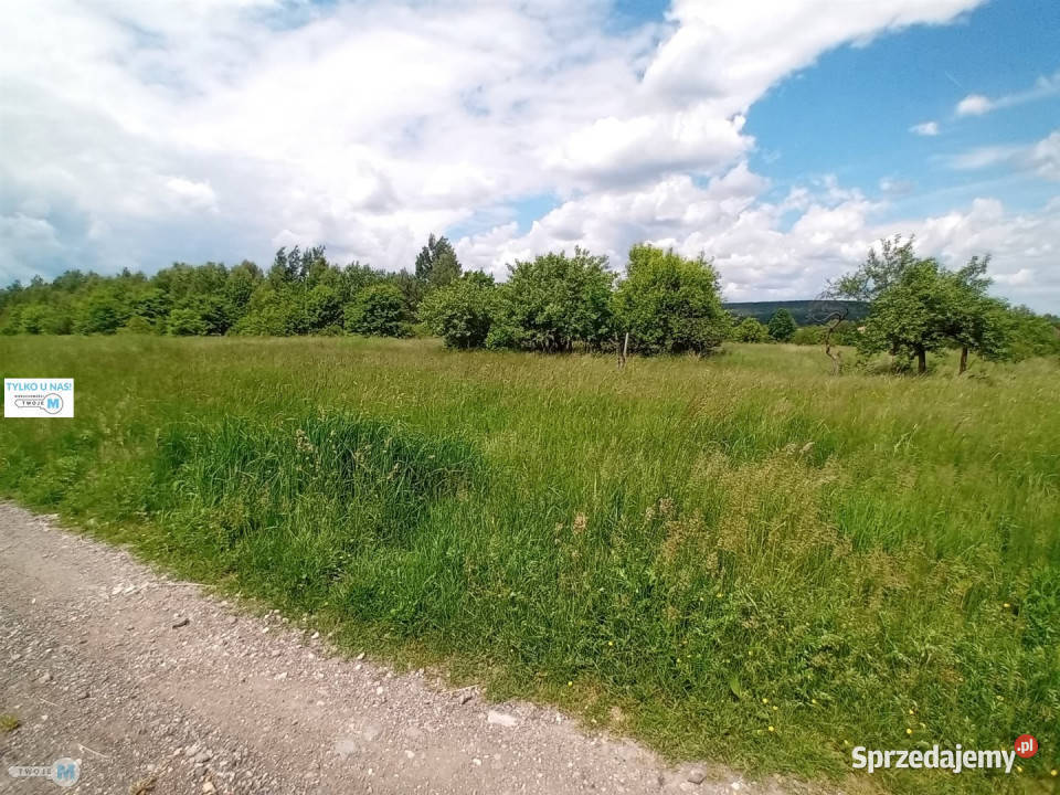 sprzedaży działki Zagnańsk 820m2