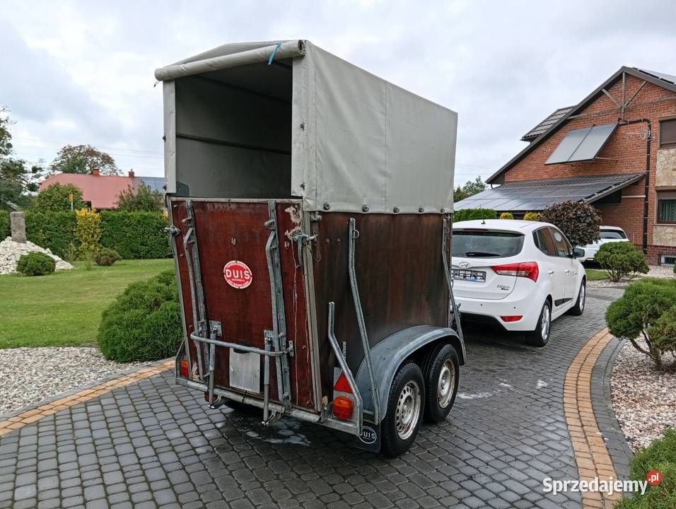 Przyczepa do przewozu koni Chełm