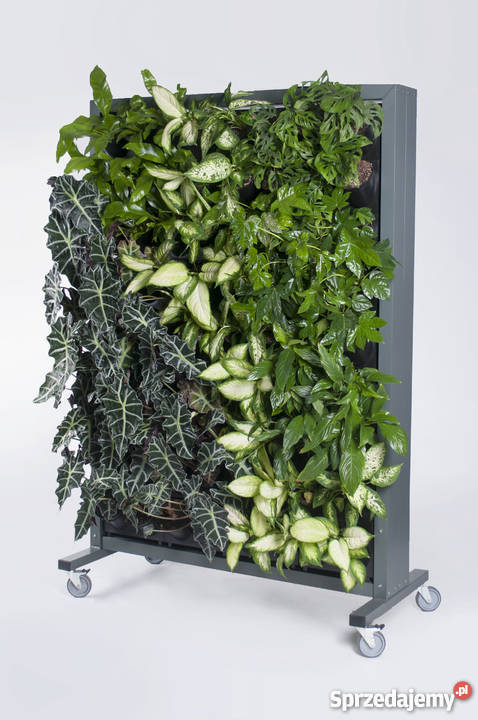 Projektowanie ogrodów ogrody wertykalne Jaworzno