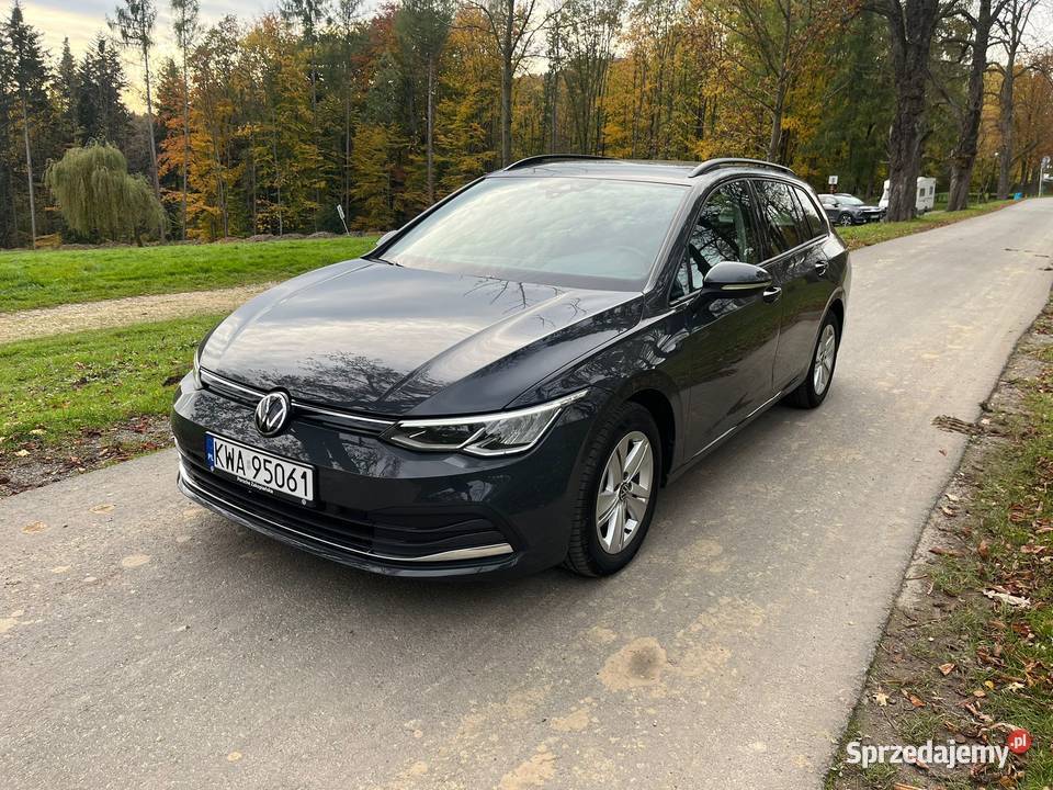 Volkswagen Golf VIII 20 TDI ESP Kalwaria Zebrzydowska