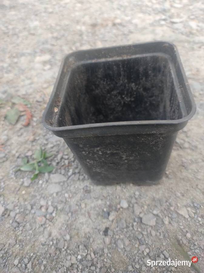 Sprzedam Doniczki Kwadratowe Okrągłe P9P15 05L2L Mielec