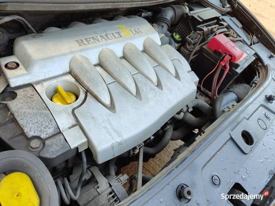 Renault Megane 1616V Coupe nieuszkodzony lubuskie Kolsko sprzedam