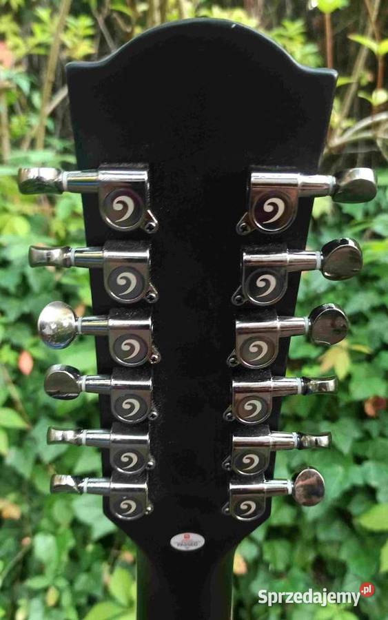 Nowa gitara elektro akustyczna 12strunowa Vangoa Tuszyn