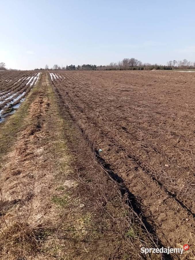 Sprzedam działkę rolną 3000m2 mazowieckie