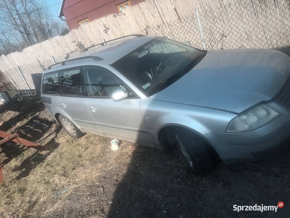 Passat Czyżew