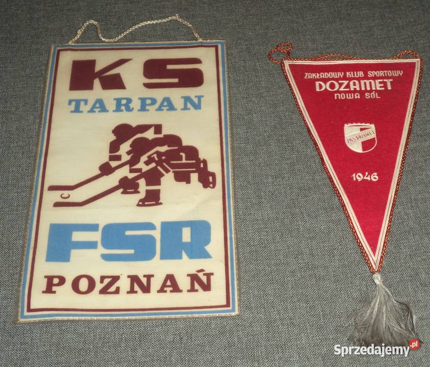 KS Tarpan FSR Poznań , ZKS Dozamet Nowa Sól - proporczyk