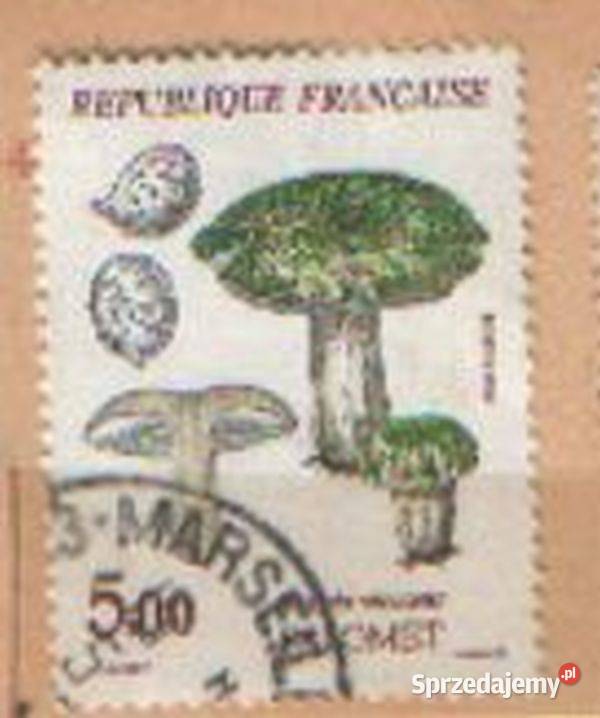 Zn Francja Mi 2619 20 3 5 kas 1987 śląskie Gliwice sprzedam