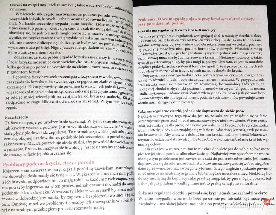 Gdy pies choruje Tom 12 Nico Maritz lubelskie Chełm