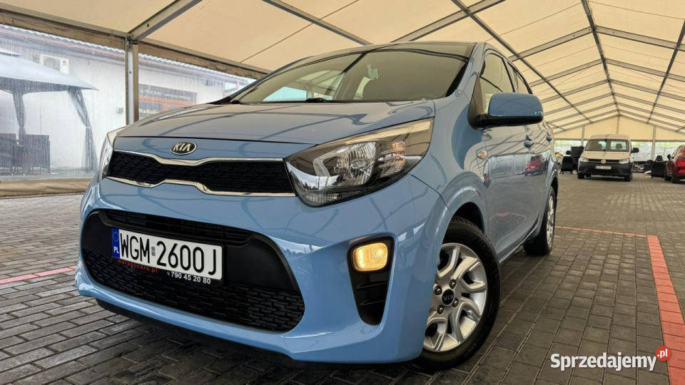 Kia Picanto Kia Picanto Automat III 2017 Zduńska Wola sprzedam