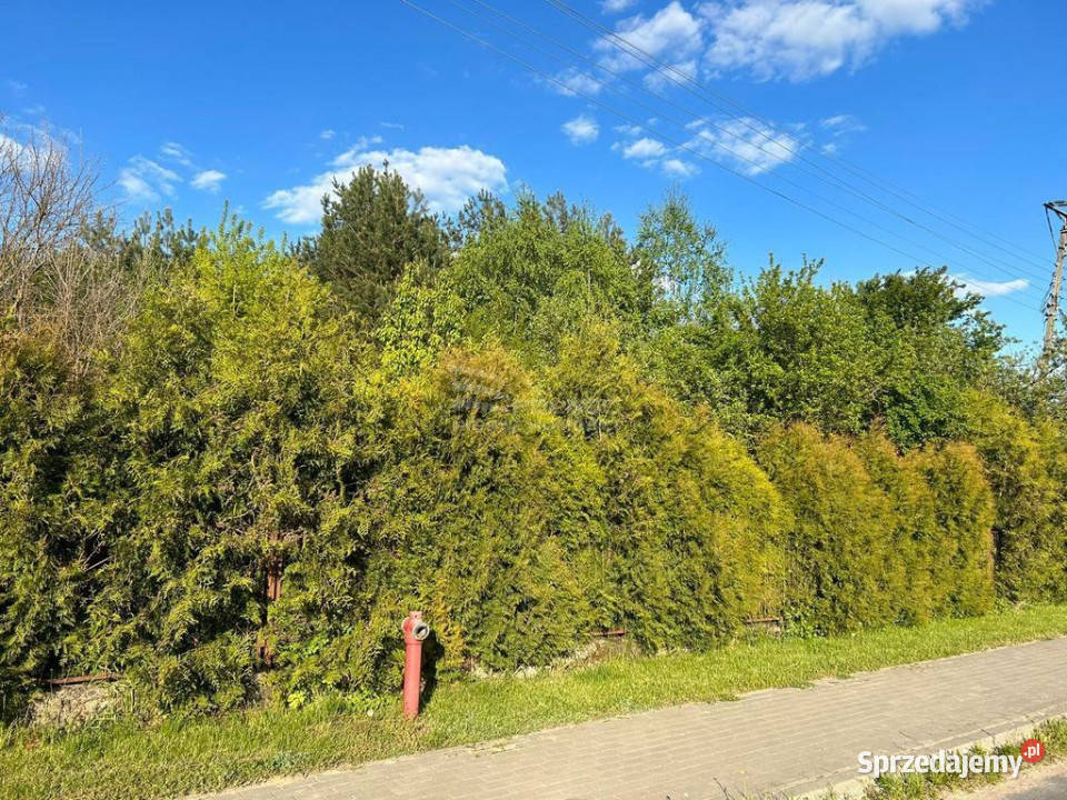 Działka Siedliskowa w Ruskowie 2791m2
